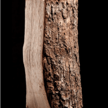 40 Sacs de Bois de Frêne Sec – Bûches 25 cm – 8 kg par sac