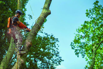 Elagueuse a batterie Pellenc Selion C21 HD Evo sans batterie